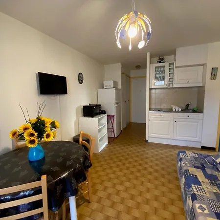 Apartment Calme Avec Balcon, Animaux Admis, Proche Thermes - Fr-1-503-183 Balaruc-les-Bains