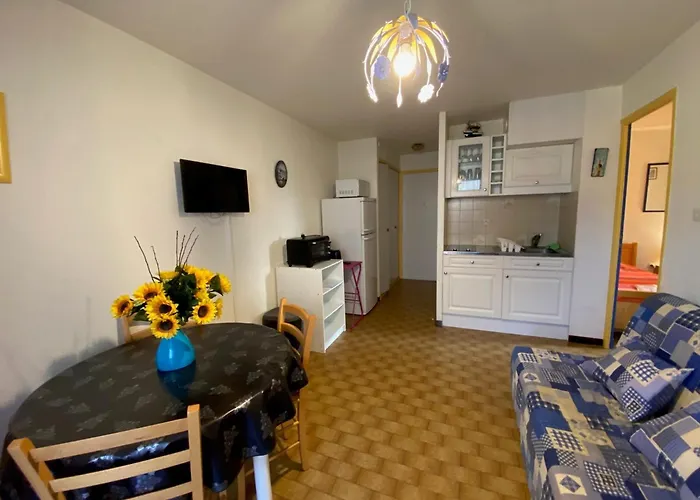 Apartamento Calme Proches Des Thermes Avec Animaux Admis - Fr-1-503-183 Balaruc-les-Bains