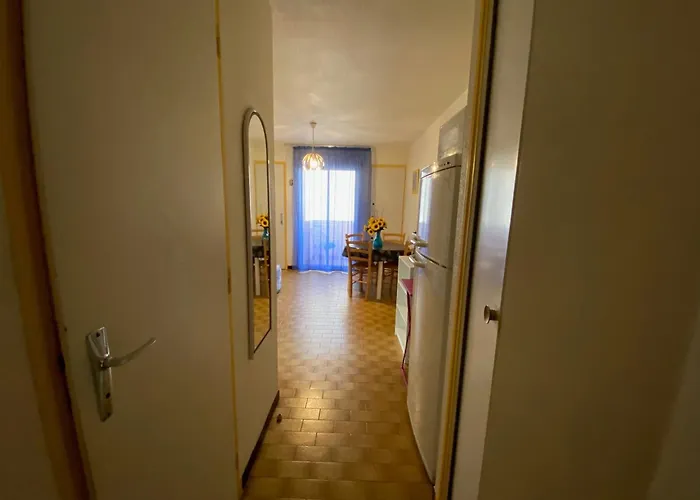 Apartamento Calme Proches Des Thermes Avec Animaux Admis - Fr-1-503-183