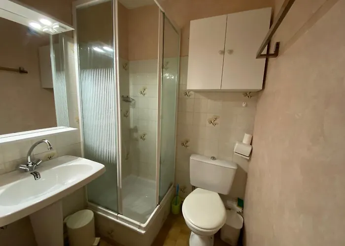 Calme Proches Des Thermes Avec Animaux Admis - Fr-1-503-183 *